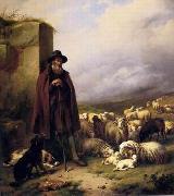 unknow artist Sheep 176 oil painting reproduction